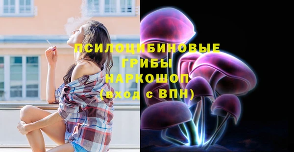 PSILOCYBIN Белоозёрский