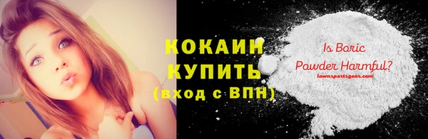 прущие грибы Богданович