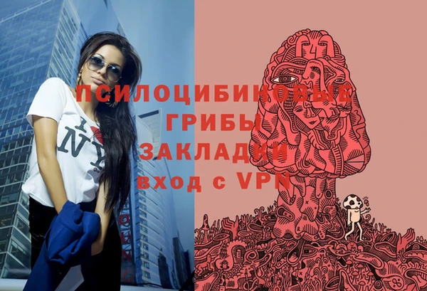 mdma Богородск